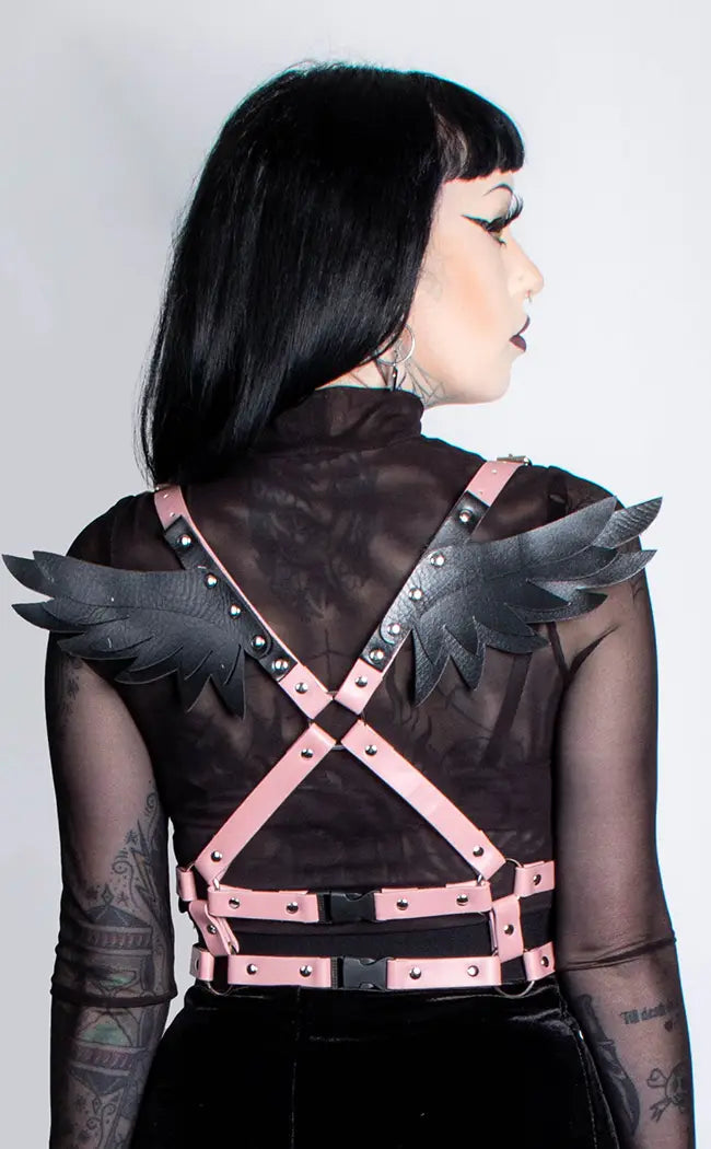 Fly By Night Harness, Punk Rave Australia