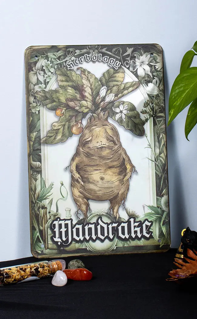 Mandrake Herbology Tin Sign | Goth Homewares Gifts Australia