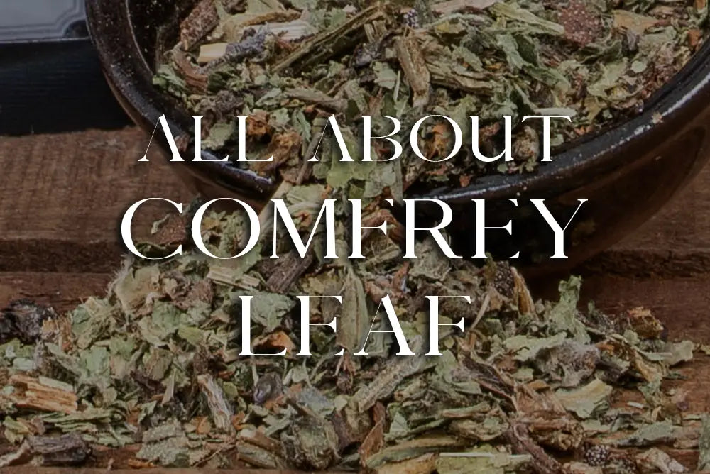 Comfrey Leaf : Magickal Properties & Uses