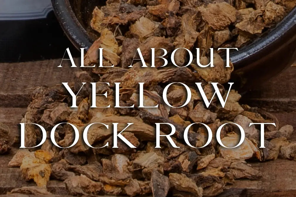 Yellow Dock Root : Magickal Properties & Uses