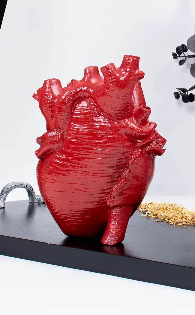 Anatomical Heart Vase | Red-The Haunted Mansion-Tragic Beautiful