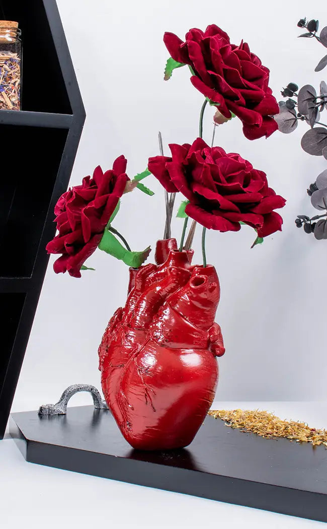 Anatomical Heart Vase | Red-The Haunted Mansion-Tragic Beautiful