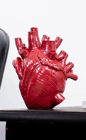Anatomical Heart Vase | Red