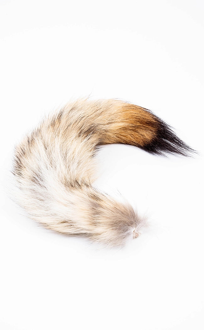 Coyote Tail-Oddities & Curiosities-Tragic Beautiful