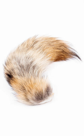 Coyote Tail-Oddities & Curiosities-Tragic Beautiful