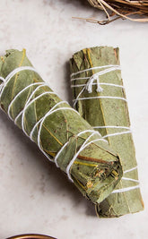 Eucalyptus Smudge Stick-Incense-Tragic Beautiful