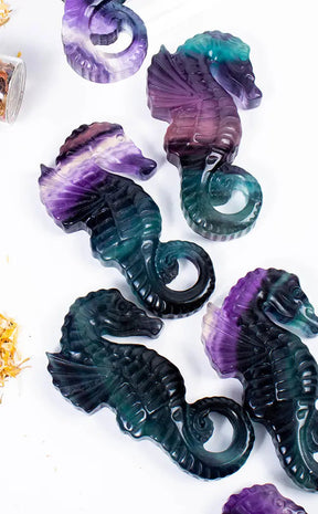 Rainbow Fluorite Seahorse-Crystals-Tragic Beautiful