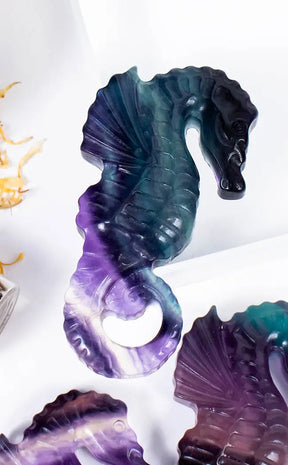 Rainbow Fluorite Seahorse-Crystals-Tragic Beautiful