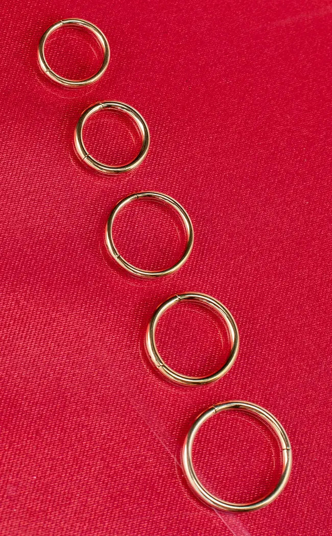 Titanium Septum Ring | Gold-Impaler-Tragic Beautiful
