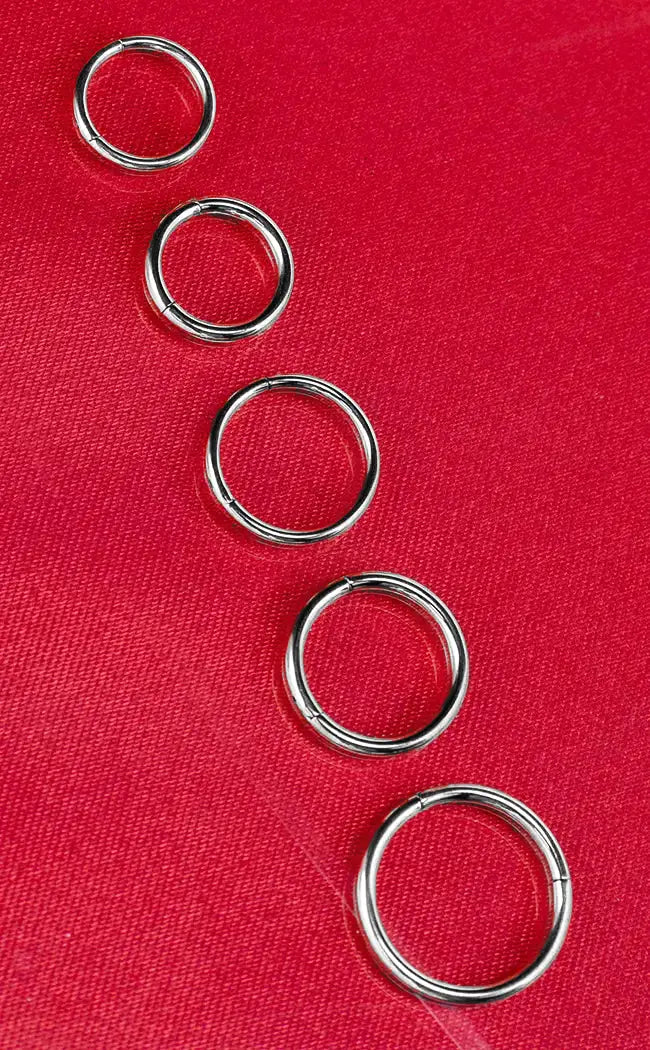 Titanium Hinged Segment Ring | Silver