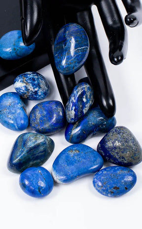 Lapis Lazuli Tumbled Stone - Sarah Belle