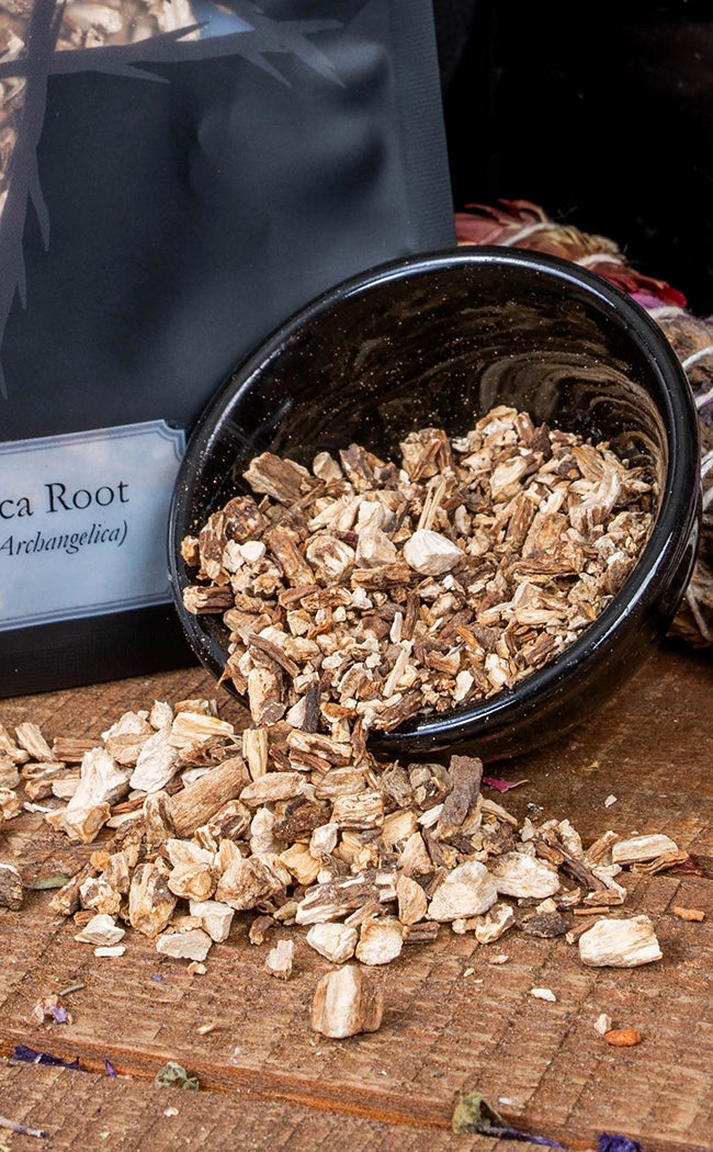 Angelica Root (Angelica Archangelica) | Witchcraft Herbs