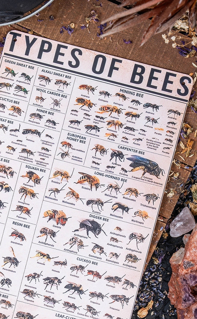 Antique Types of Bees Tin Sign