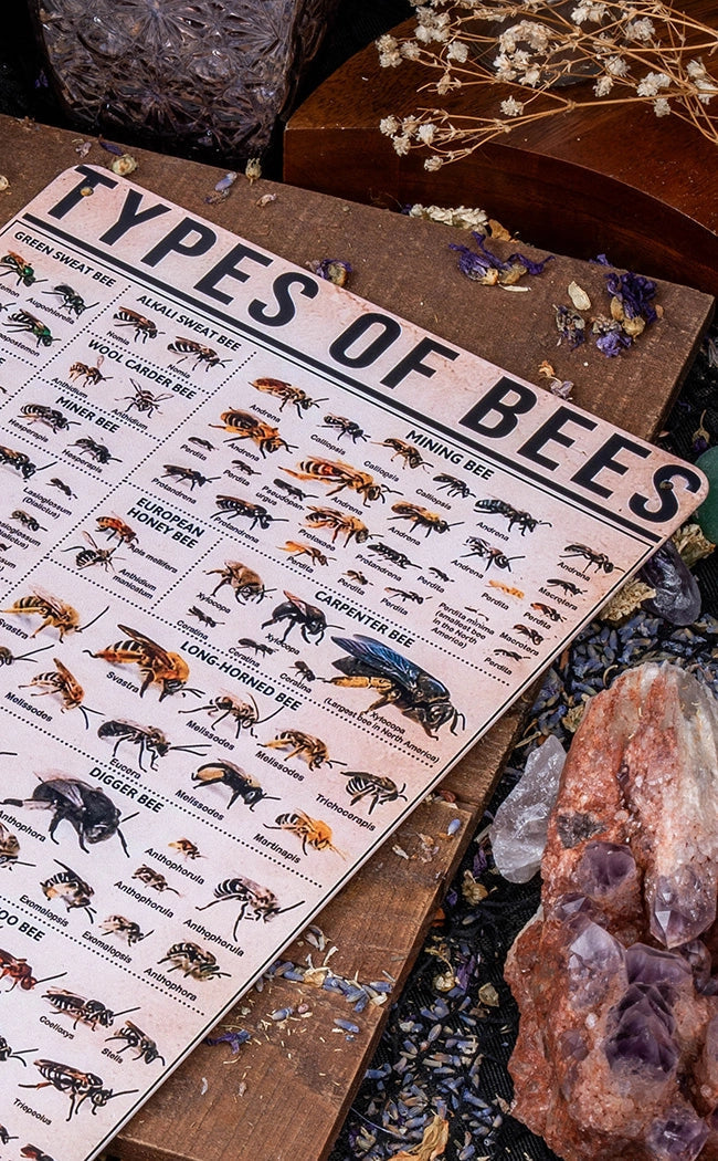 Antique Types of Bees Tin Sign