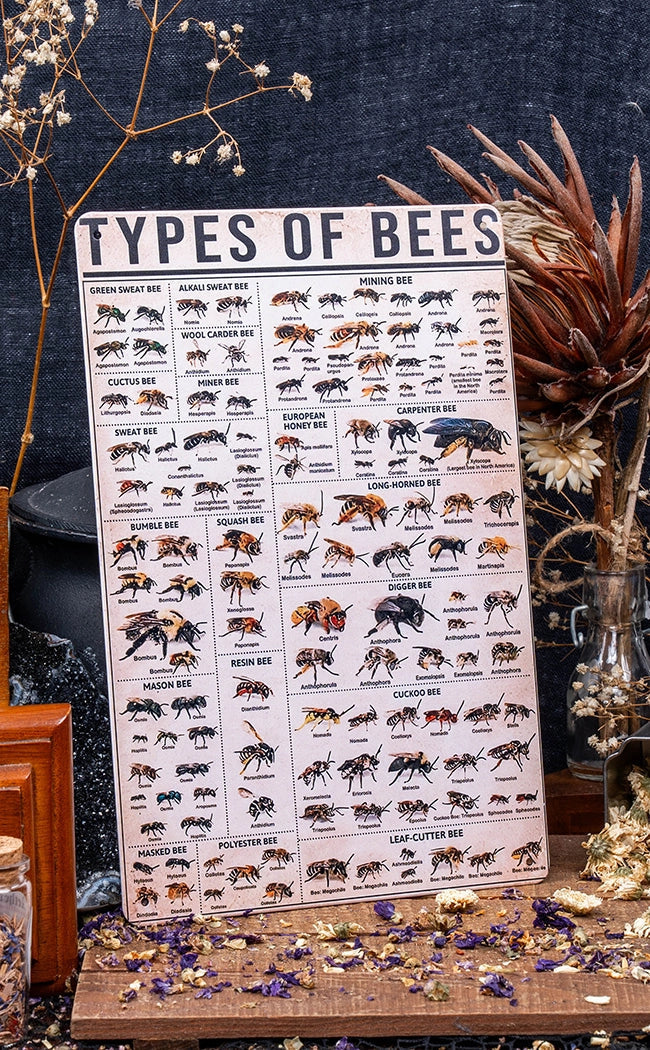 Antique Types of Bees Tin Sign