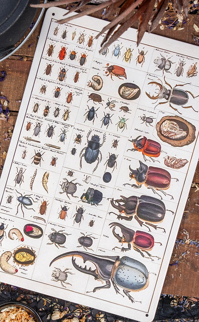 Antique Types of Bugs Tin Sign