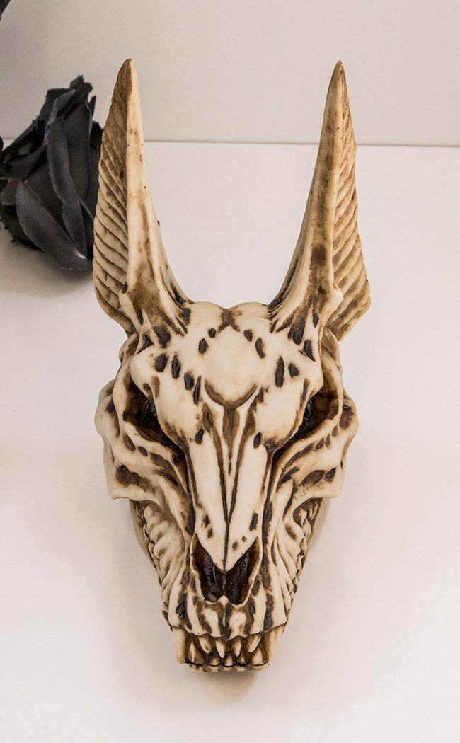 Anubis Skull-Nemesis Now-Tragic Beautiful