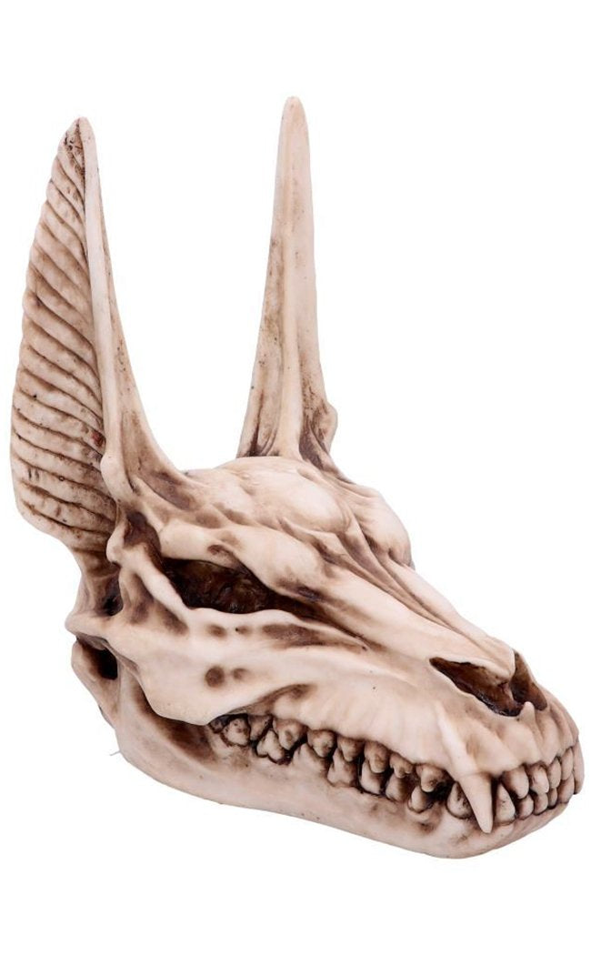 Anubis Skull-Nemesis Now-Tragic Beautiful