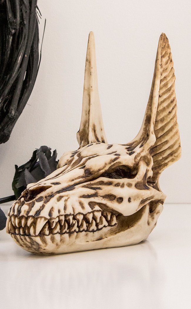 Anubis Skull-Nemesis Now-Tragic Beautiful