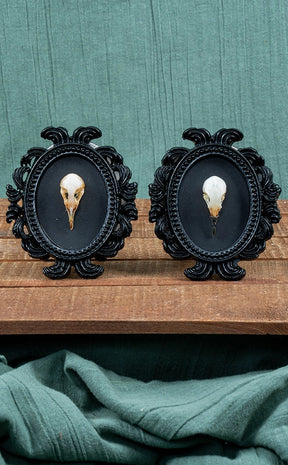 Bird Skull in Mini Vintage Frame