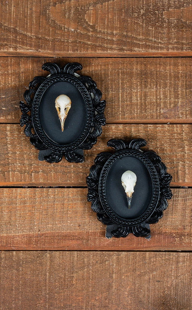 Bird Skull in Mini Vintage Frame