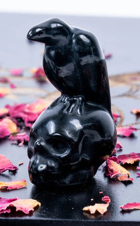 Black Obsidian Crow on Skull