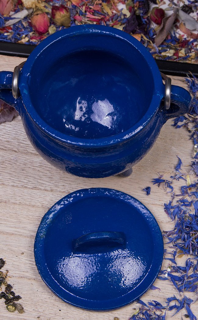 Cast Iron Cauldron w Lid in Blue-Cauldrons-Tragic Beautiful