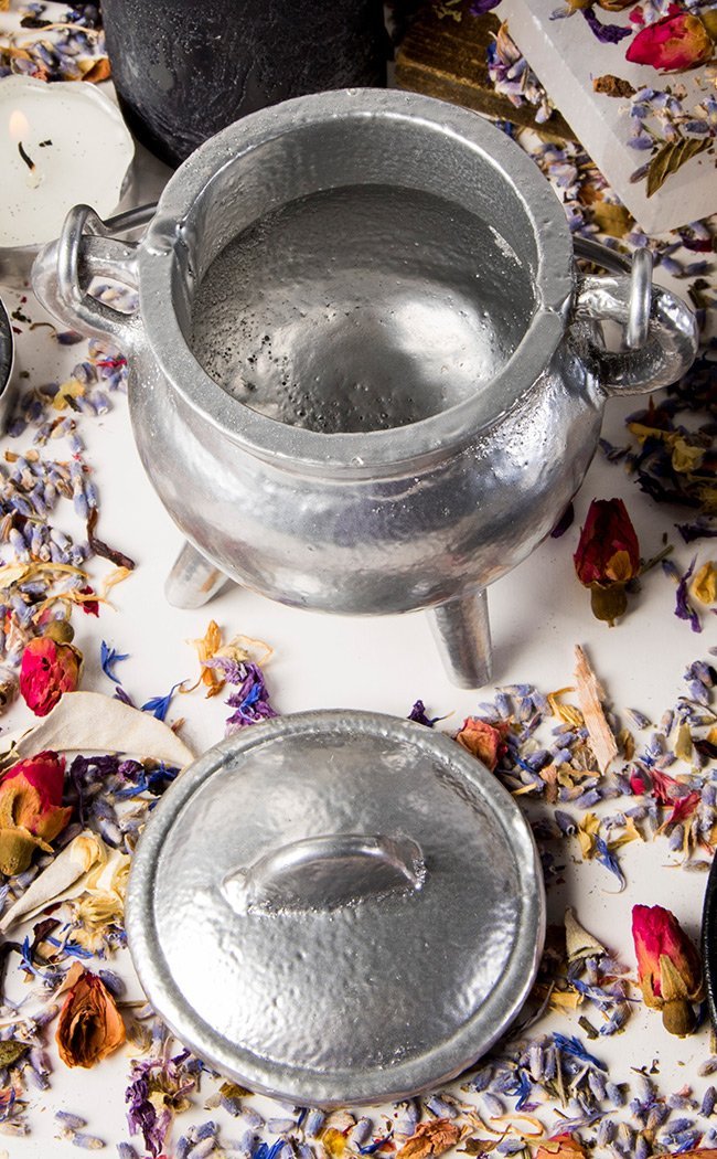 Cast Iron Cauldron w Lid In Silver-Cauldrons-Tragic Beautiful