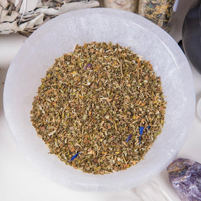 Catnip | Herbal Alchemy-Aether-Tragic Beautiful