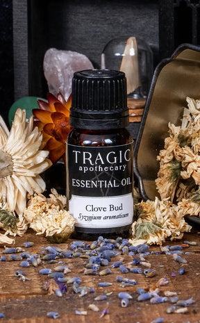 Clove Bud Essential Oil