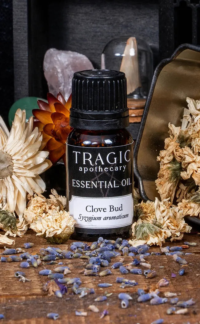 Clove Bud Essential Oil