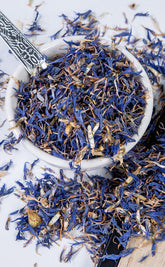 Blue Cornflower | Witchcraft Herbs-Witch Herbs-Tragic Beautiful