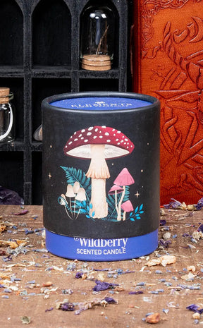 Cosy Cottage Candle | Wildberry