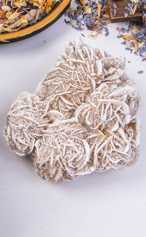 Desert Rose Cluster-Crystals-Tragic Beautiful