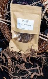 Devils Shoestring | Witchcraft Herbs-Witch Herbs-Tragic Beautiful