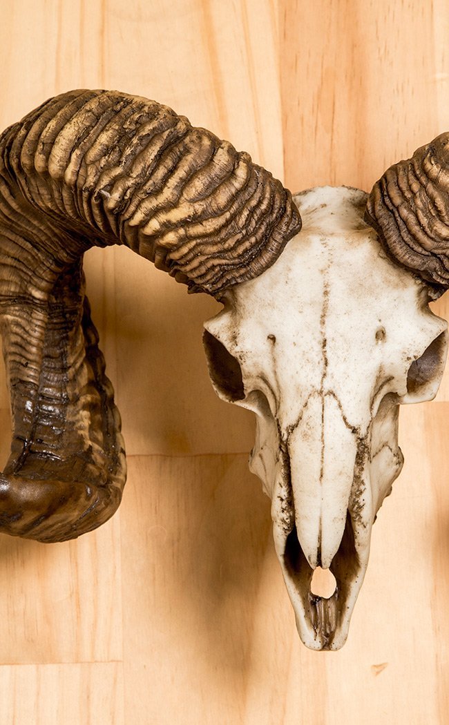 Diablo Ram Skull-Nemesis Now-Tragic Beautiful