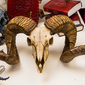 Diablo Ram Skull-Nemesis Now-Tragic Beautiful