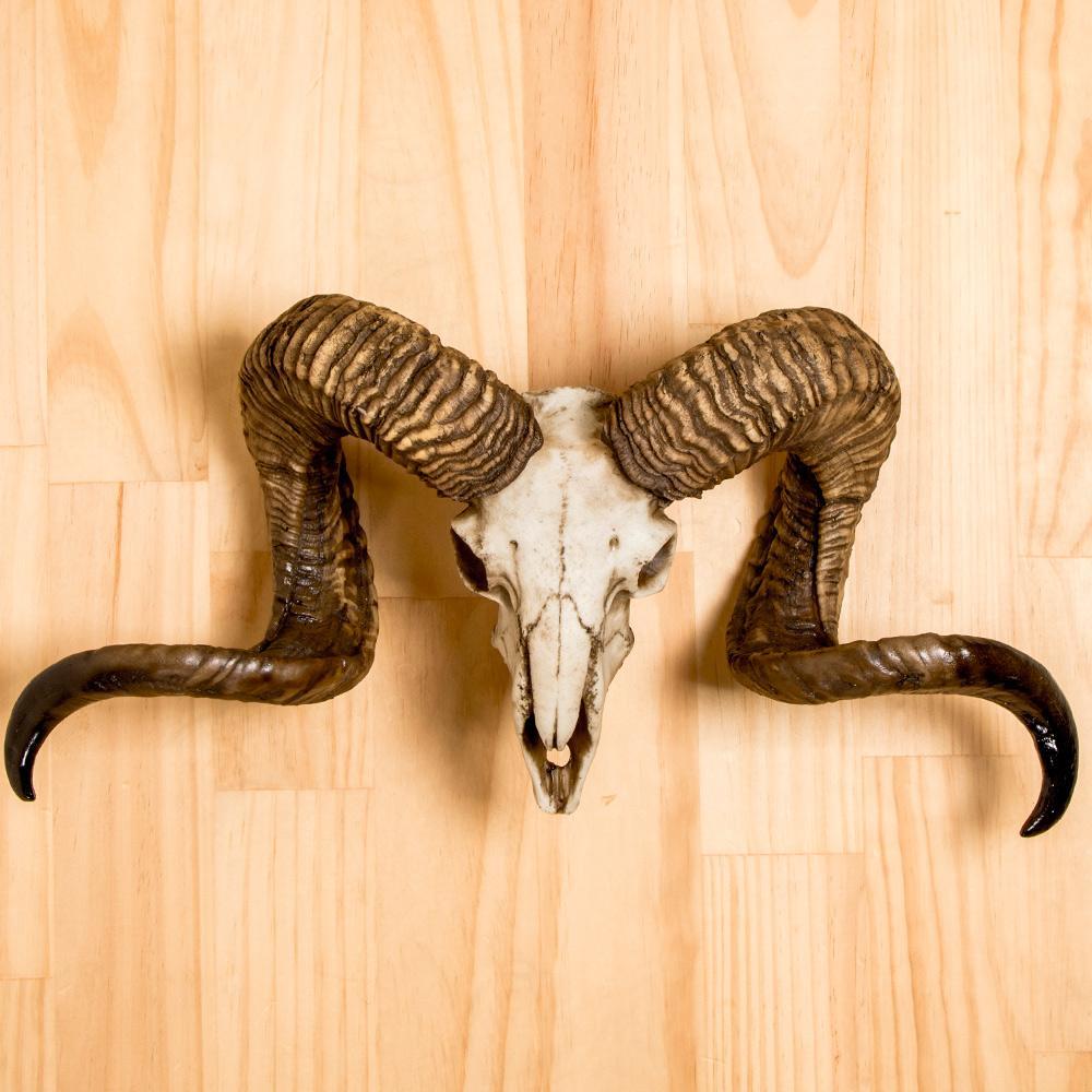 Diablo Ram Skull-Nemesis Now-Tragic Beautiful