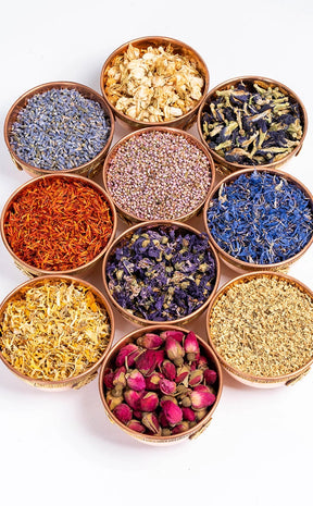 Dried Flowers x 10 Bundle Pack | Witchcraft Herbs-Witch Herbs-Tragic Beautiful