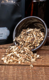 Echinacea Root | Witchcraft Herbs