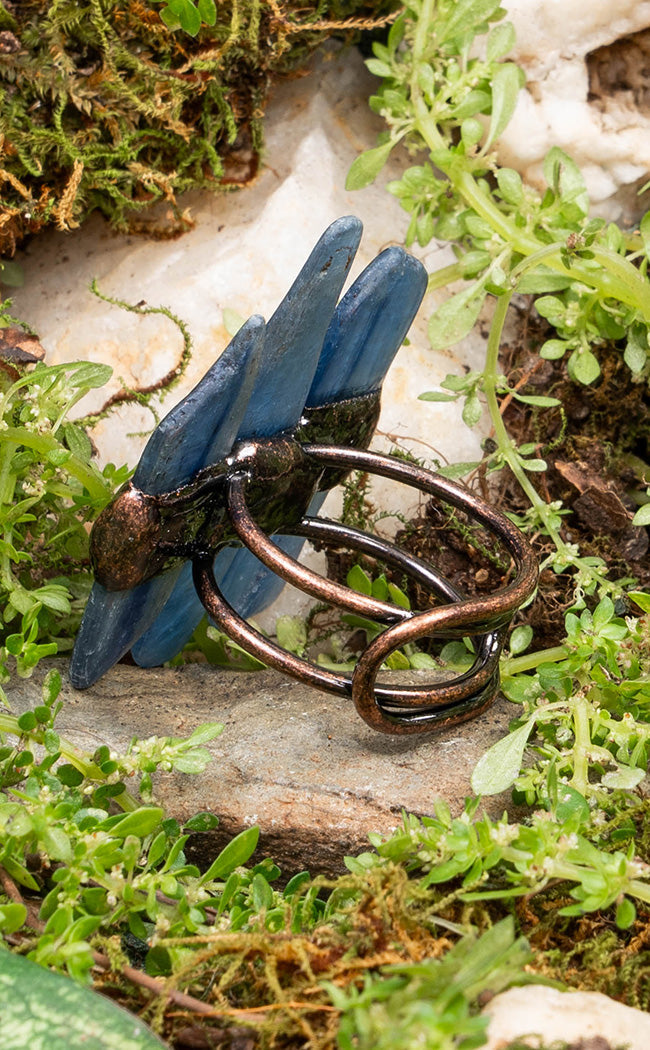 Elysian Visions Ring | Blue Kyanite