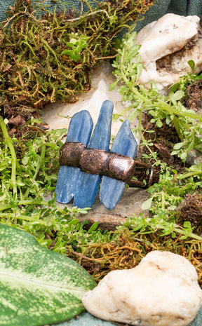 Elysian Visions Ring | Blue Kyanite