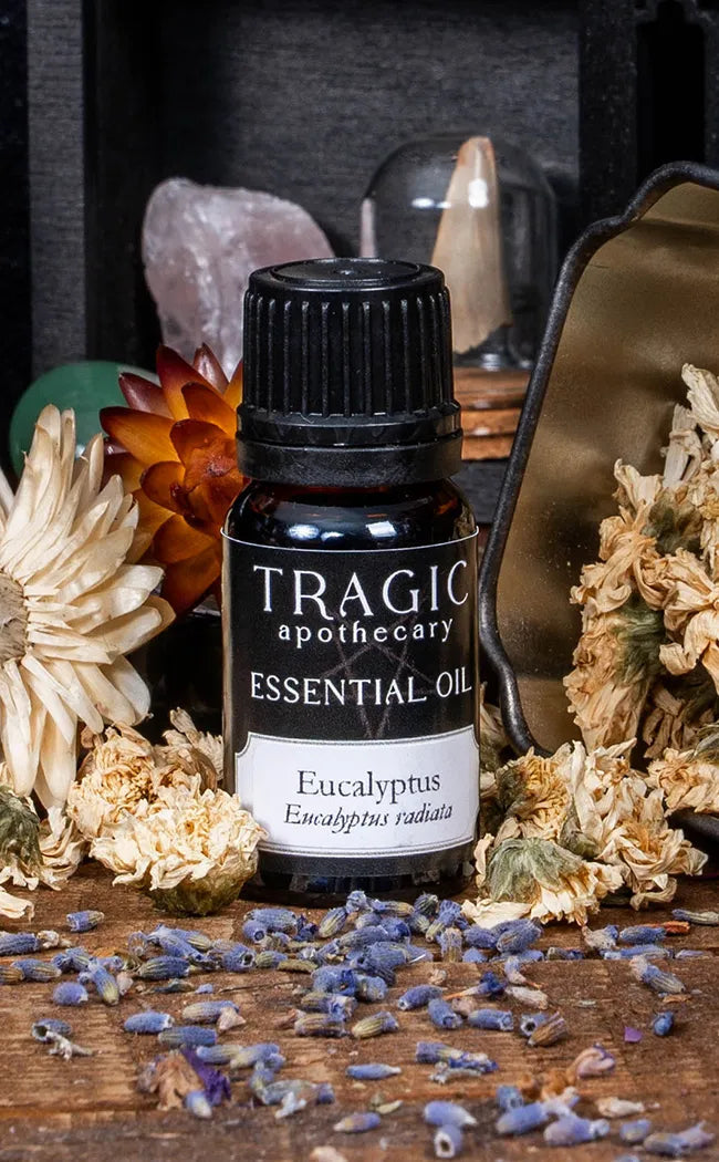 Eucalyptus Essential Oil