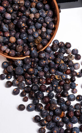 Juniper Berries | Witchcraft Herbs-Witch Herbs-Tragic Beautiful