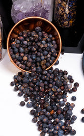 Juniper Berries | Witchcraft Herbs-Witch Herbs-Tragic Beautiful