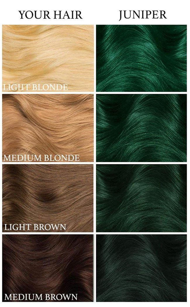 Juniper Green Hair Dye-Lunar Tides-Tragic Beautiful