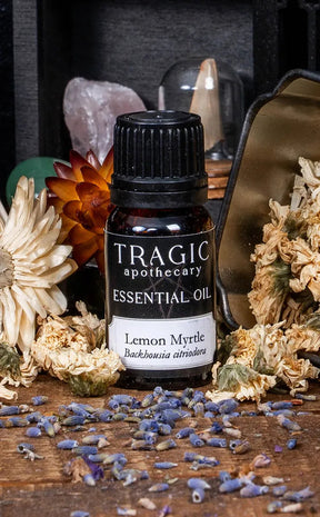 Lemon Myrtle Essential Oil