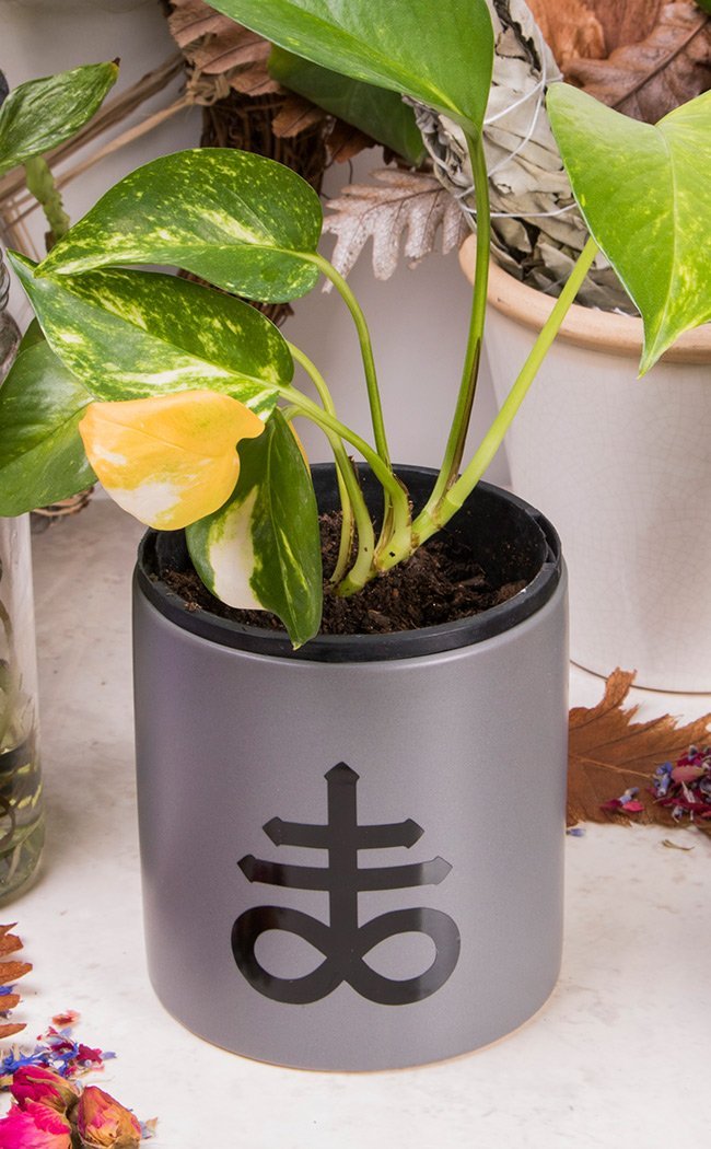 Leviathan Cross Plant Pot | Black on Grey-Death By Plants-Tragic Beautiful