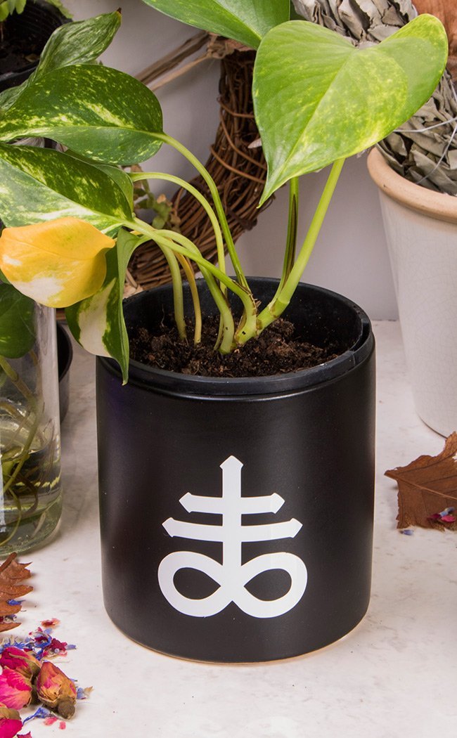 Leviathan Cross Plant Pot | White on Black-Death By Plants-Tragic Beautiful