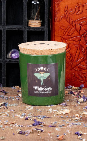 Luna Moth Candle | White Sage